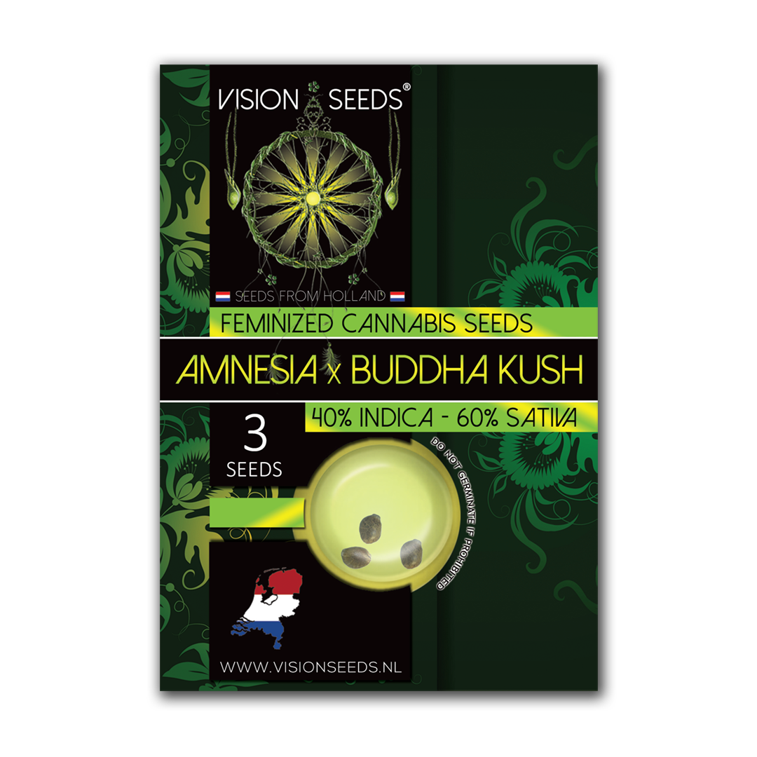 Amnesia X Budda Kush feminized zaden