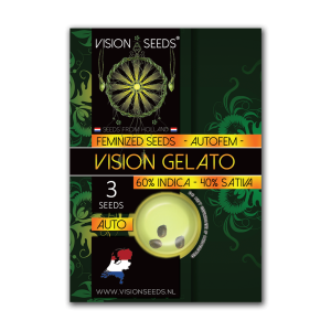 Auto vision Gelato
