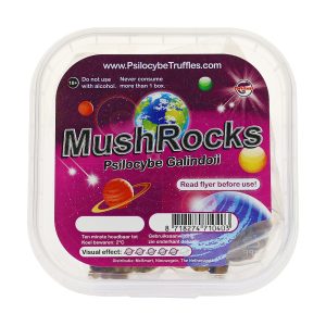 Mushrocks kopen