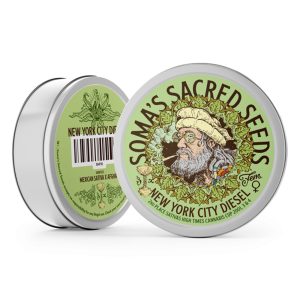 Cannabis zaden kopen om zelf wiet te kweken - New York City Diesel