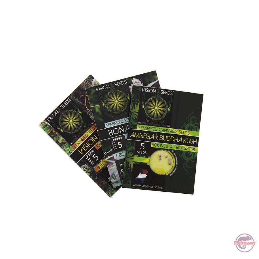 Amnesia X Budda Kush feminized zaden 3 seeds - Afbeelding 3