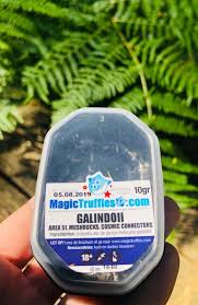 Magic Truffles Amsterdam Dosage